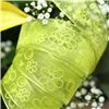 Order  Summer Breeze Ribbon - Sheer Lime